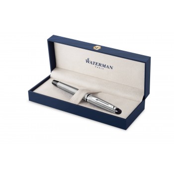 Waterman Expert Steel CT Plunksnakotis - S0952060