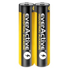 2x EverActive LR3 LR03 AAA 1,5 V 1100 mAh susitraukianti šarminė baterija