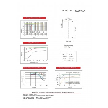 "FANSO ER34615M" 3,6 V 13000 mAh ličio akumuliatorius - LiSOCL2, D, LSH20, SB-D02/TC, SL-780/S, TL-4930, TL-5930